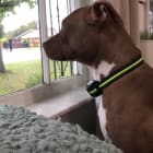 Remi