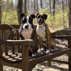 Nash and Nala