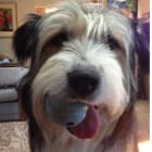 Mugsy