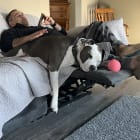 Bleu and Nebbi