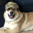 Happy