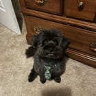Slinky