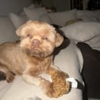Barry