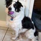 Katie