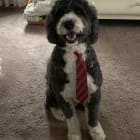Max