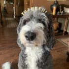 Max