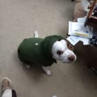 Deebo