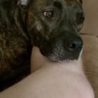 Ellie