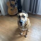 Maggie