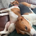 Baylee and Finlee