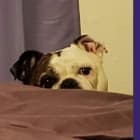 Fiona