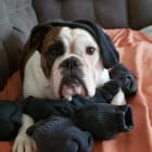 Fiona