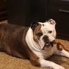 Fiona