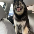 Clyde