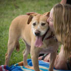 Goldie