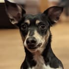Kiki