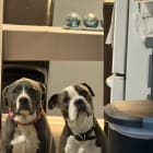 Storm and Diesel