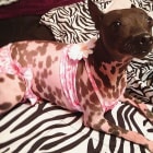 Zoey