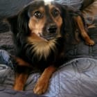 Roxy