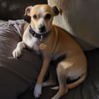 Roxy