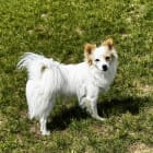 Jack