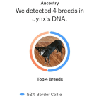 Jynx