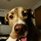 Tilly