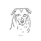 Tilly