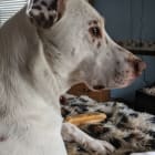 Fiona
