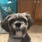 Charley
