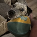Roxie