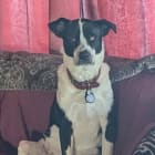 Zeus