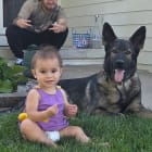Stella