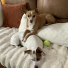 Ruby and Maggie