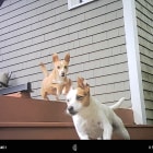 Ruby and Maggie