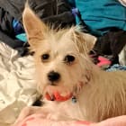 Maggie Mae