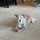 Ellie