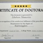 Professor Yummerton