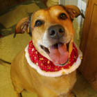 Molly