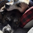 Enzo and Mili