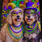 Coco Rea and Goldie Skye