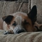 Annie