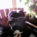 Hickory aka Mr Man