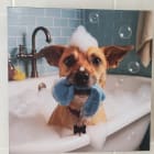 Humphrey