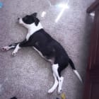 Macy