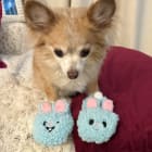 Winnie and Chip