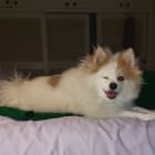 Nadalie