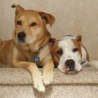 Best Friends