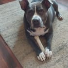 Daisy Mae