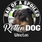 Winston